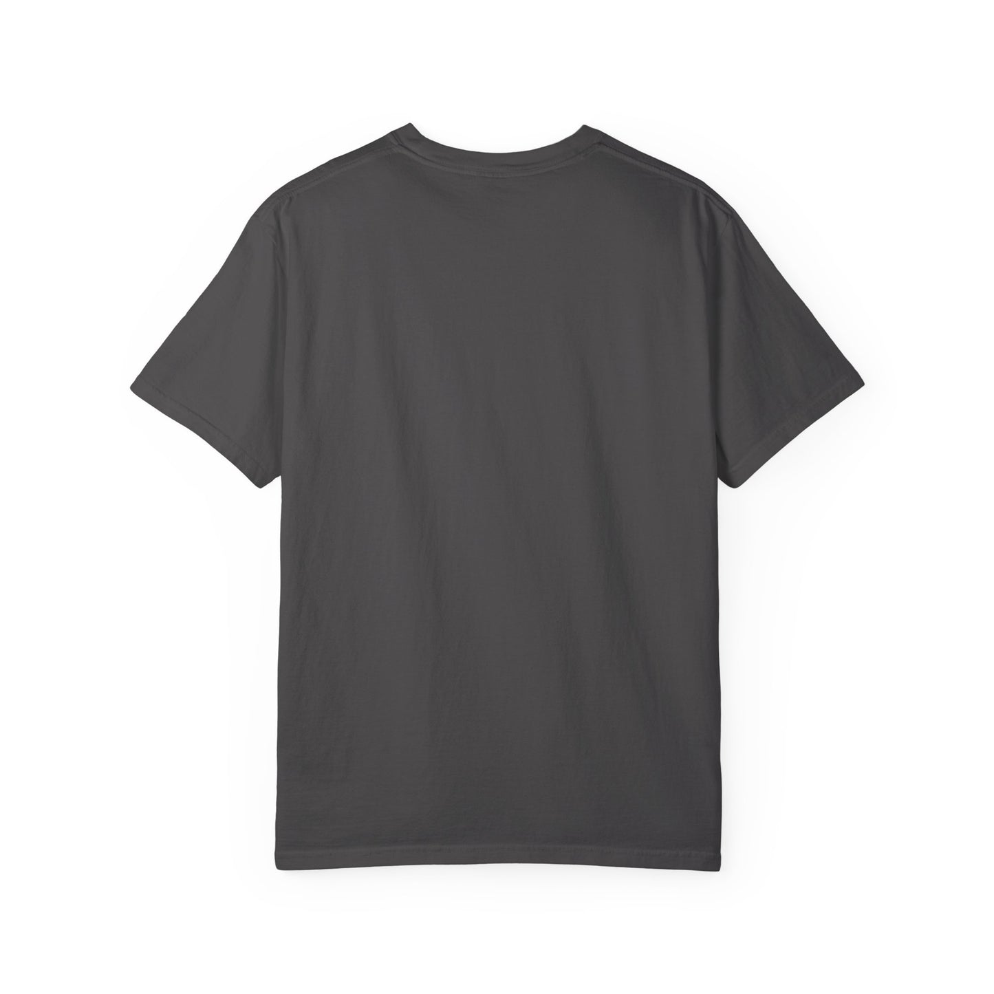 Freedom is not free T-Shirt